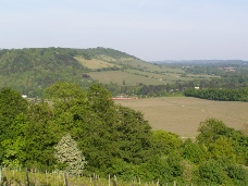 Box Hill, Surrey